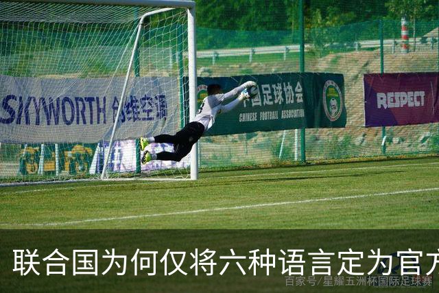 联合国为何仅将六种语言定为官方语言？印度语、德语、葡语、意大利语、日语的使用者也都不少，怎么就是进不了联合国语言体系？