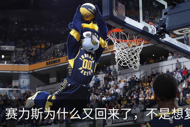 赛力斯为什么又回来了，不是想复合，是没准备好