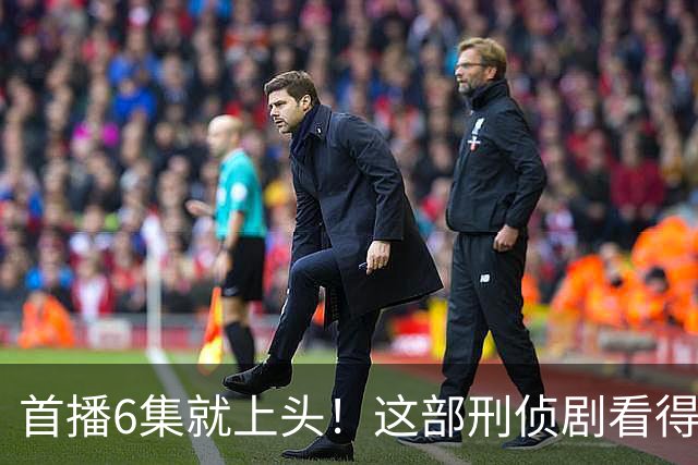 首播6集就上头！这部刑侦剧看得后背发凉